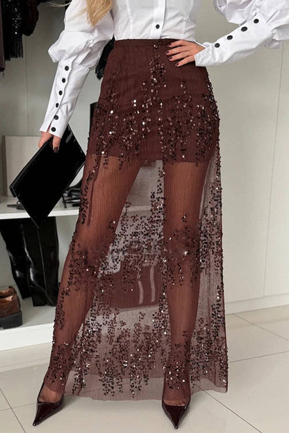 Sequin Mesh Overlay Midi Skirt