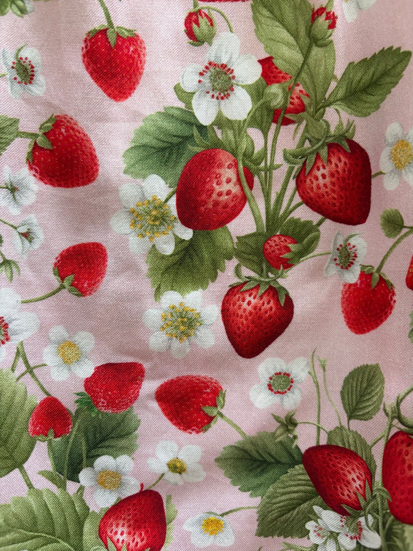 Strawberry Collared Dress - Plus Sizes only