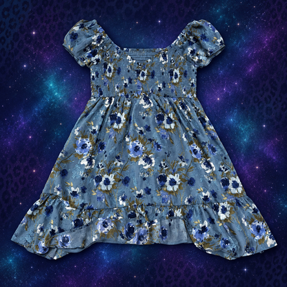 Thirty Thirty blue floral smocked dress size large flat lay